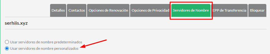 Selecciona la opción Usar servidores de nombre personalizados.