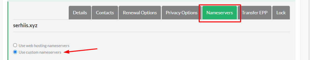 Select the option Use custom nameservers