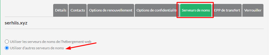 Sélectionnez l'option Utiliser d’autres serveurs de noms.