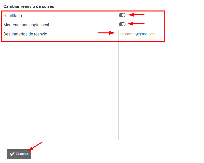 Ingresa la dirección de email a la que deseas reenviar tus correos electrónicos. Puedes agregar varios emails si es necesario. 