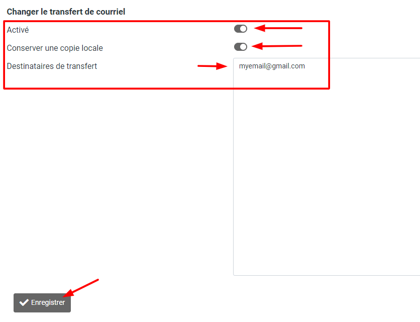Saisissez l'adresse e-mail à laquelle vous souhaitez que vos e-mails soient transférés. Vous pouvez ajouter plusieurs e-mails si nécessaire.