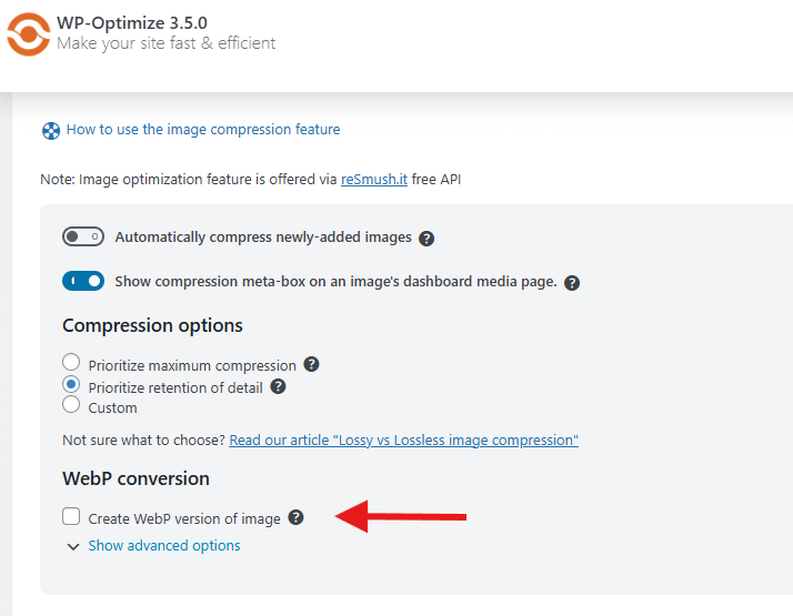 WP-Optimize is also capable of automatically converting JPG and PNG images into the WebP format and using this version when feasible, leading to considerably smaller file sizes.