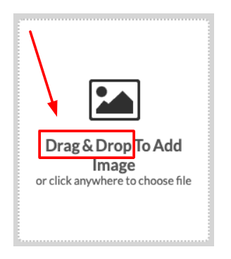 Drag-and-drop your images.