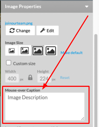 Place your cursor in the Mouse-over Caption box.