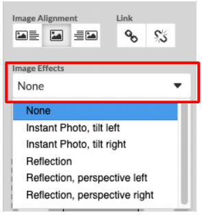 The image effects drop-down menu allows you to add a tilt, reflection, and other effects to your image.