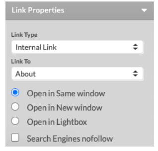 When you select the Link option, the following sub-menu appears at the bottom right of the menu.