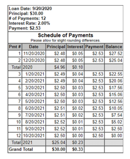 Your website visitors can also create an amortization schedule, which will appear in a pop-up window.