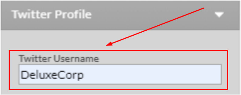 Enter your Twitter username.