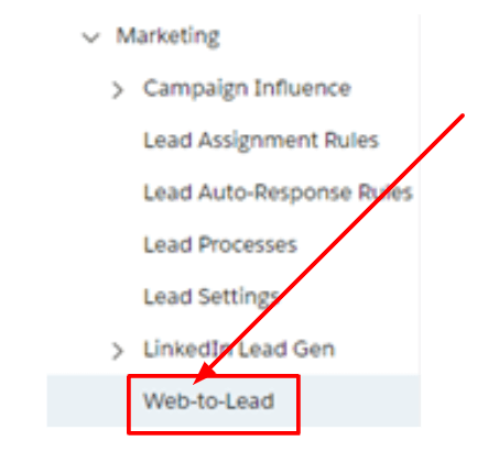 Click Marketing and then Web-to-Lead.