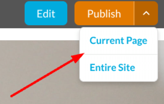 Click the Publish button.