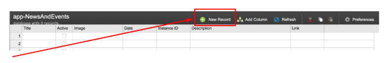 Click on the green + New Record button at the top of the Database Editor. Alternatively, you can click on the green + sign at the bottom of the editor. 
