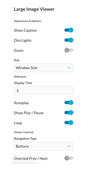 Dim Lights: With this option enabled, the content behind the Large Image Viewer will be dimmed.